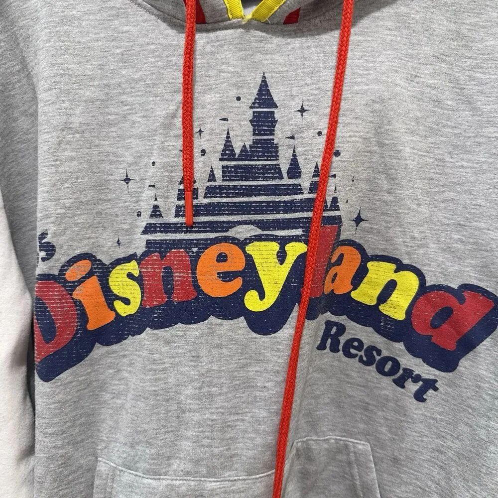 Disney Parks Womens Sweater Plus 1X Gray Disneyland Hoodie Pullover Pockets